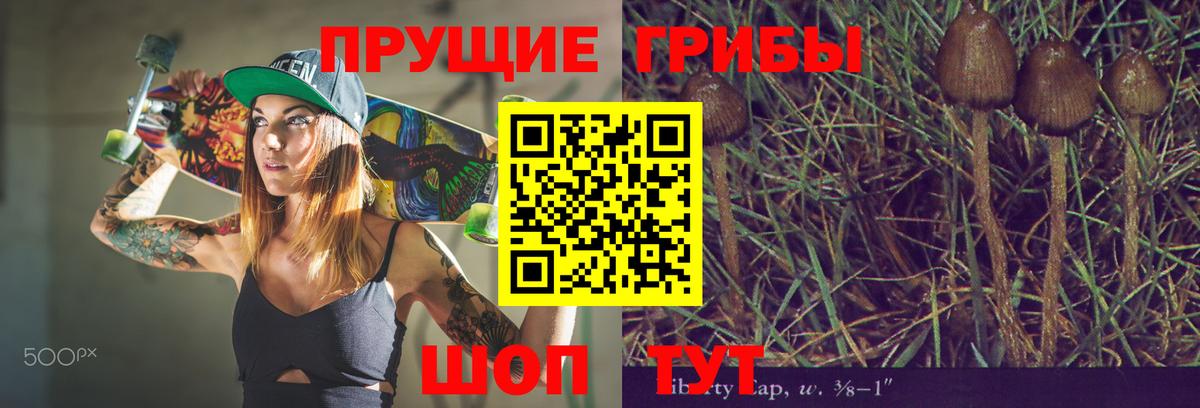 Аксай  Псилоцибиновые грибы MAGIC MUSHROOMS  Псилоцибиновые грибы Psilocybine cubensis  Вход с VPN 